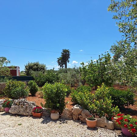 Baciati Dal Sole Apartment Martina Franca Ngoại thất bức ảnh