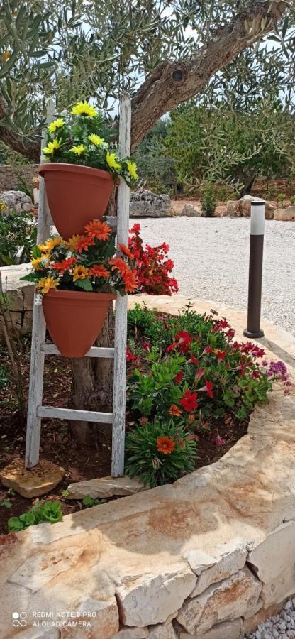 Baciati Dal Sole Apartment Martina Franca Ngoại thất bức ảnh