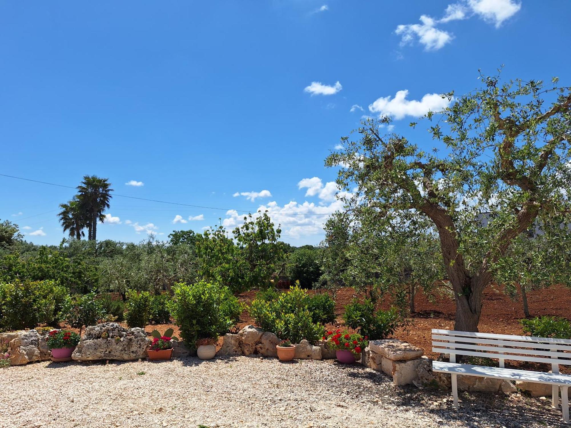 Baciati Dal Sole Apartment Martina Franca Ngoại thất bức ảnh