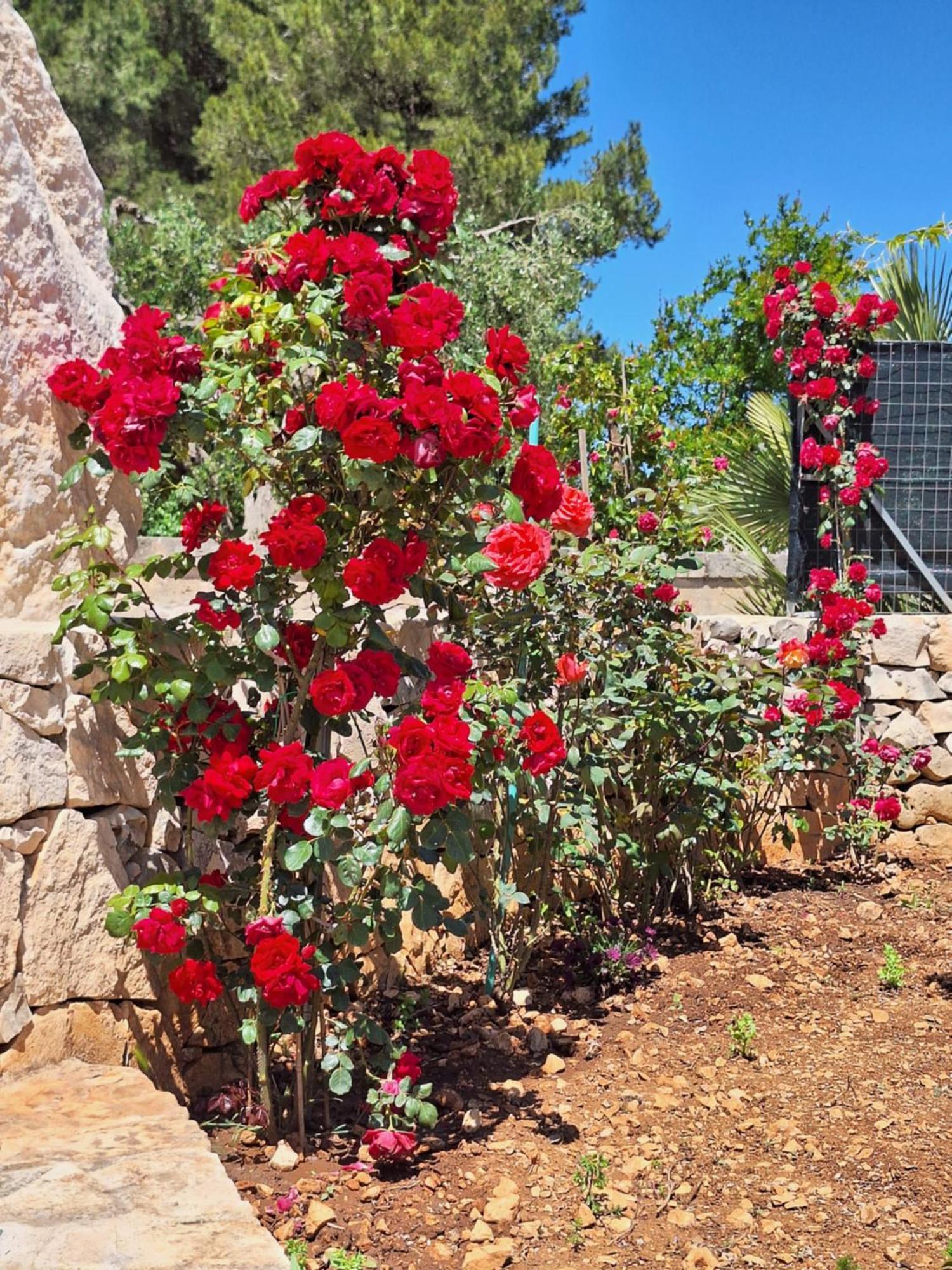 Baciati Dal Sole Apartment Martina Franca Ngoại thất bức ảnh
