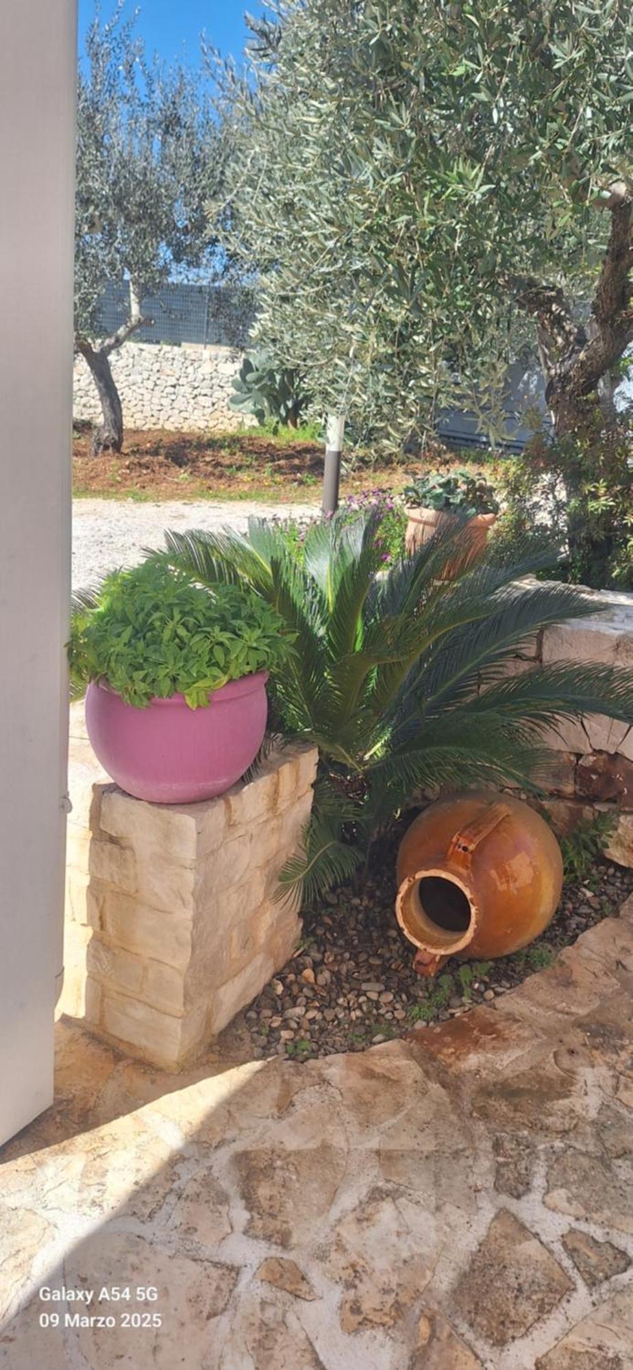 Baciati Dal Sole Apartment Martina Franca Ngoại thất bức ảnh